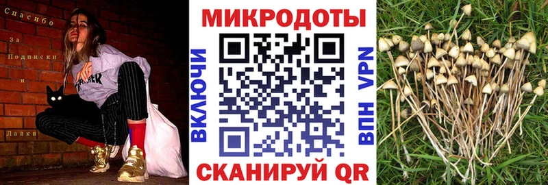 Галлюциногенные грибы мухоморы  Бутурлиновка 
